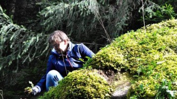 Molte Fiabe hanno luogo nei boschi: la foresta della Val di Fiemme nei piatti dello Chef Alessandro Gilmozzi